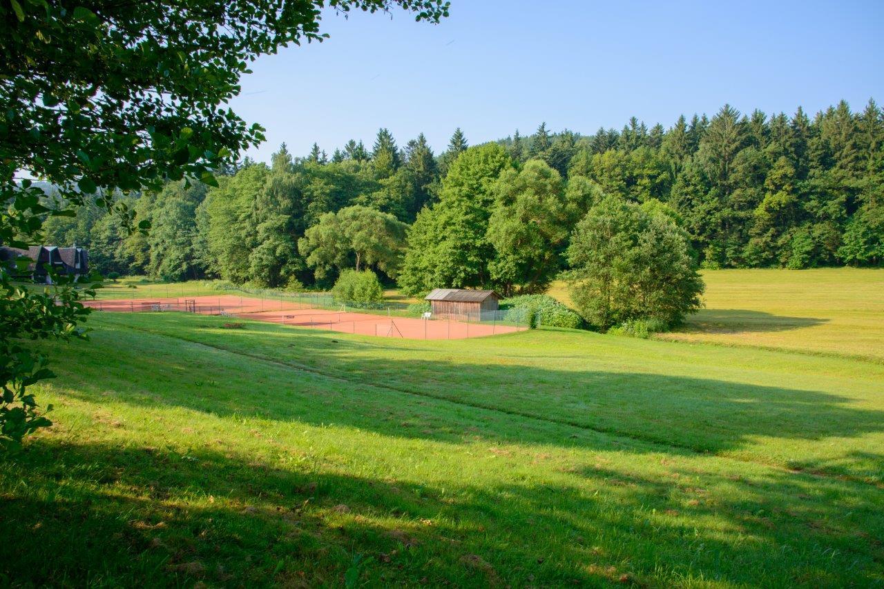 Hotel Frankenschleif Waldmünchen Dış mekan fotoğraf